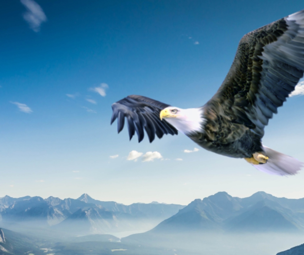 优德W88(中国集团)官方网站