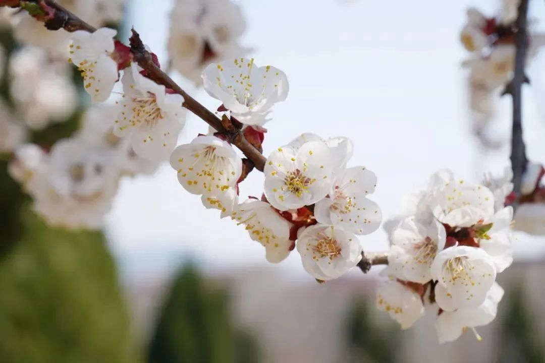 优德W88(中国集团)官方网站