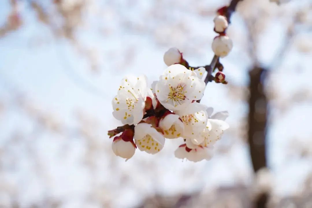 优德W88(中国集团)官方网站